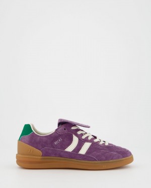 Basket Coolway Becks X Femme Violette France | 149-OFAWSL